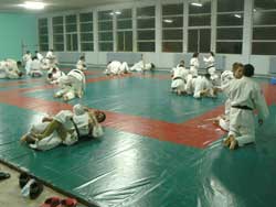 Randori au sol
