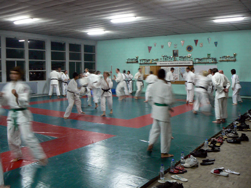 P1080761.jpg