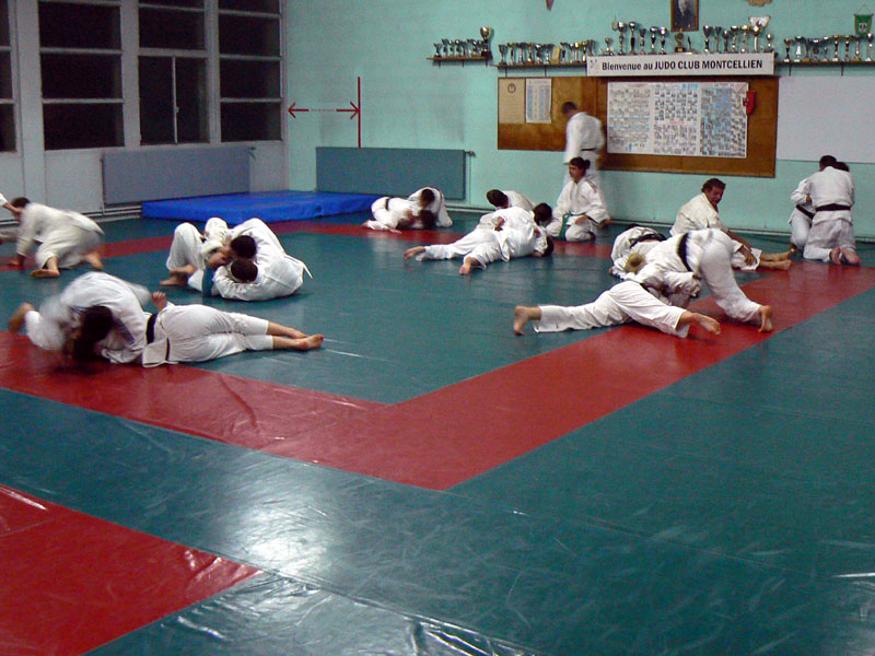 P1080772.jpg