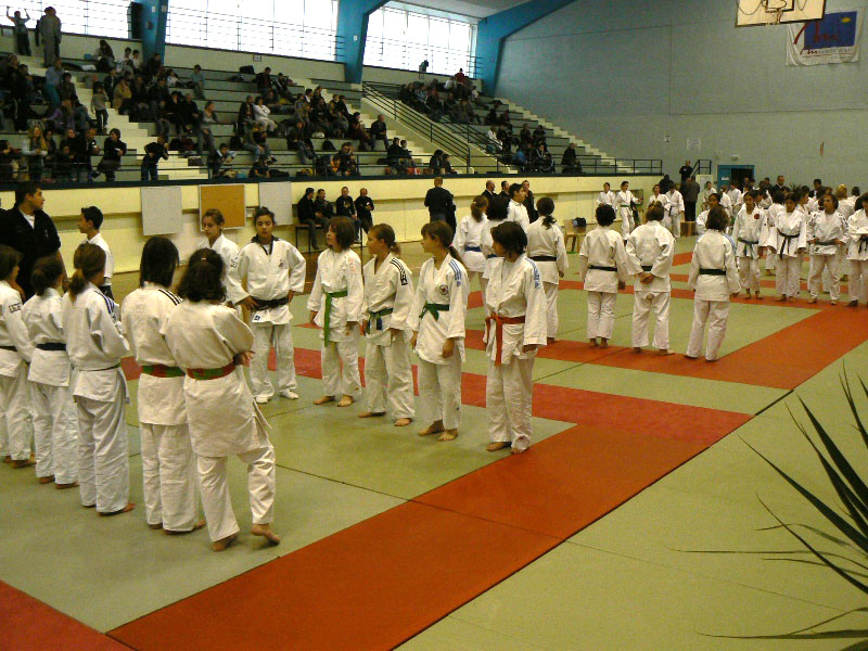 p1080939.jpg