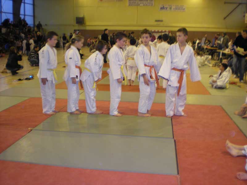 Petits_Tigres_9.jpg