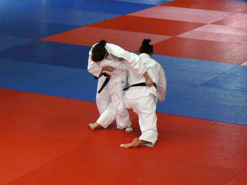 p1090453.jpg