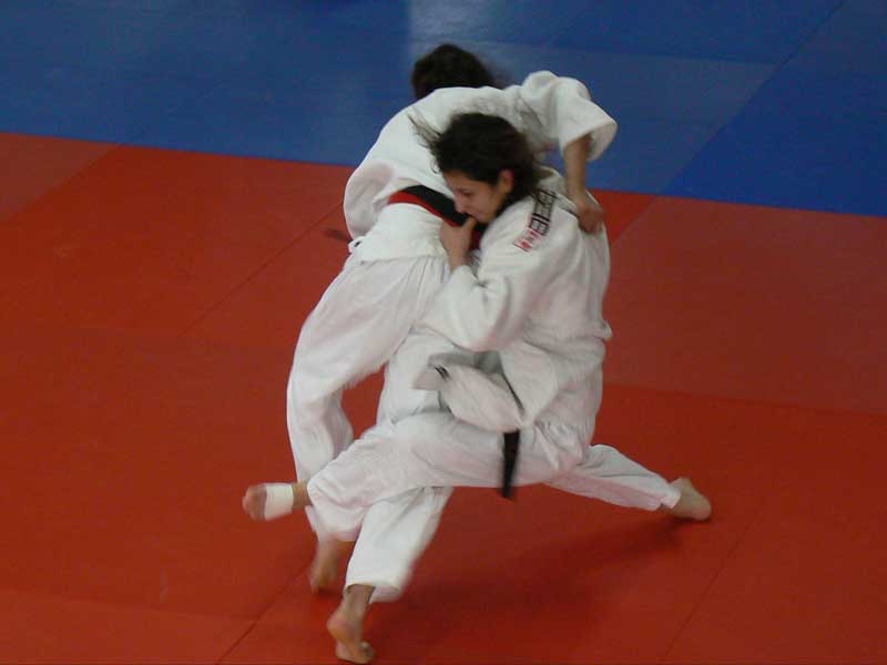 p1090467.jpg