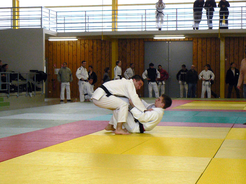 p1090526.jpg