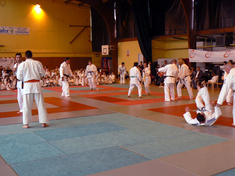 p1110927.jpg