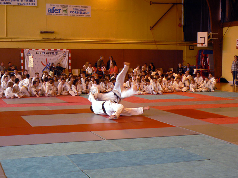p1110948.jpg