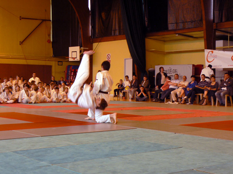 p1110950.jpg