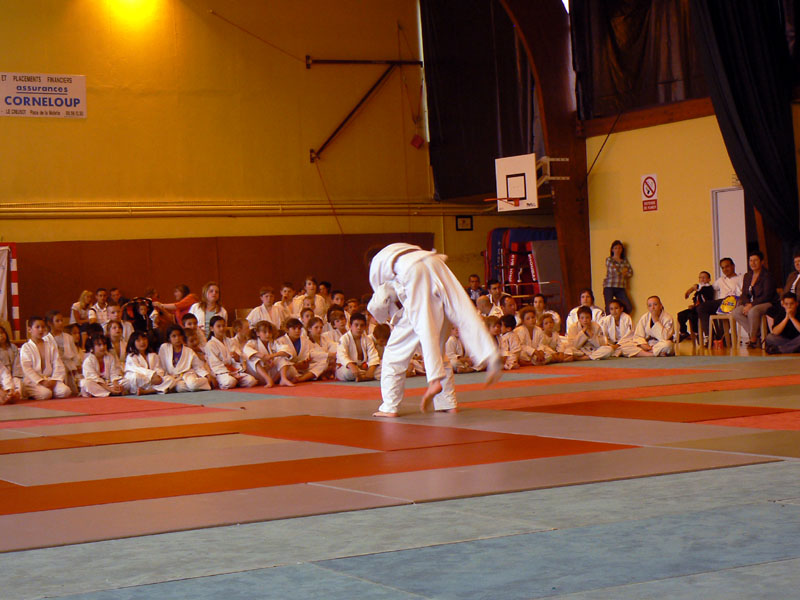 p1110954.jpg