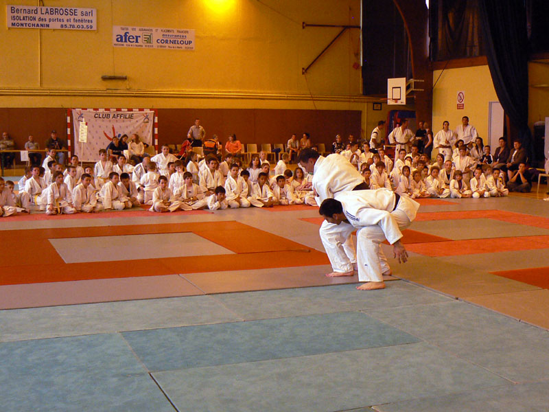p1120006.jpg