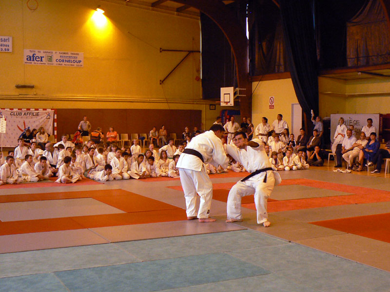 p1120008.jpg