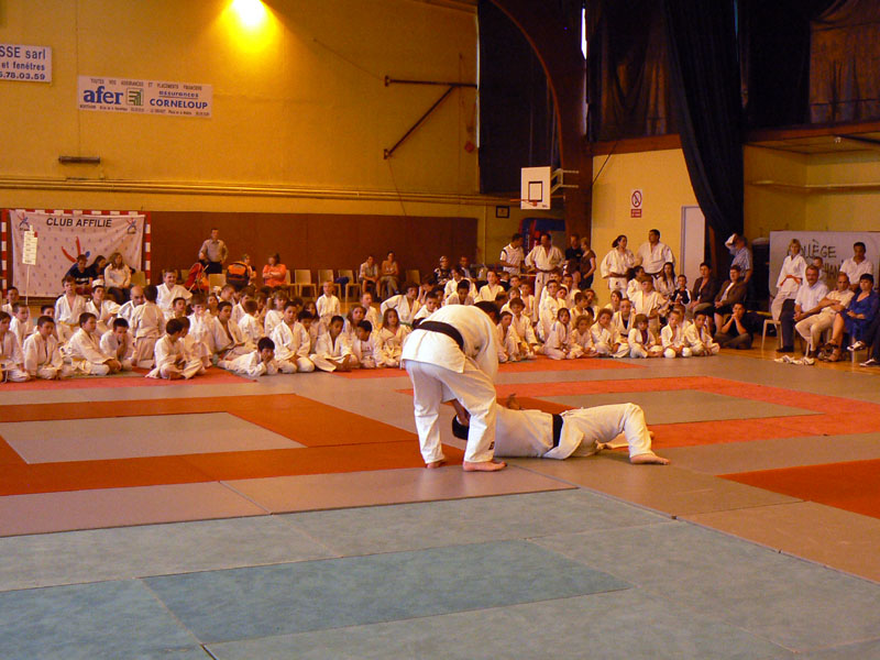 p1120011.jpg