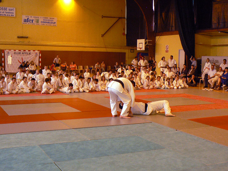 p1120012.jpg
