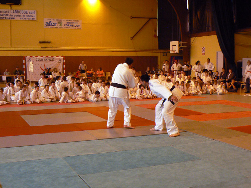p1120013.jpg