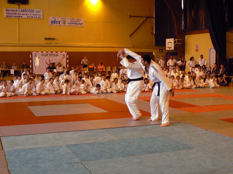 p1120015.jpg