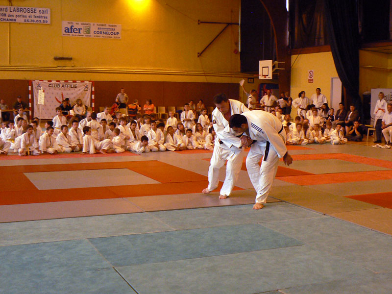 p1120017.jpg