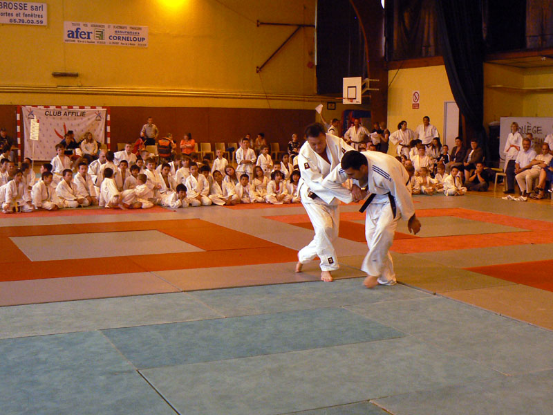 p1120018.jpg