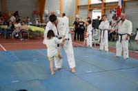 dsc_0376.jpg