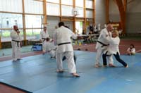 dsc_0387.jpg