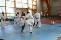 dsc_0390.jpg