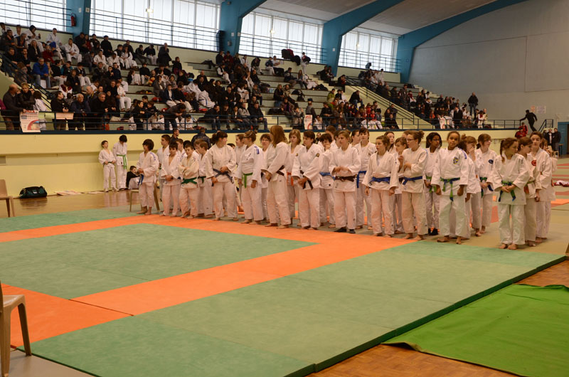 dsc_1013.jpg