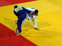 p1120550.jpg