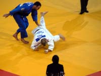 p1120618.jpg