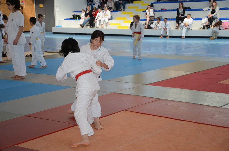dsc_1250.jpg