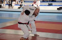 dsc_1242.jpg dsc_1242.jpg
