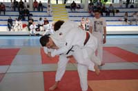 dsc_1248.jpg dsc_1248.jpg