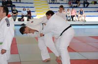 dsc_1264.jpg dsc_1264.jpg