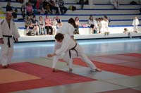 dsc_1285.jpg dsc_1285.jpg