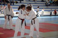 dsc_1288.jpg dsc_1288.jpg