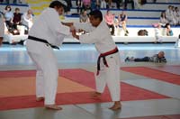dsc_1293.jpg dsc_1293.jpg