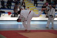 dsc_1351.jpg dsc_1351.jpg