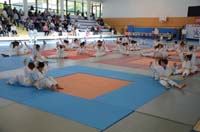dsc_1369.jpg dsc_1369.jpg