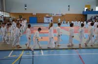 dsc_1381.jpg dsc_1381.jpg