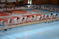 dsc_1391.jpg dsc_1391.jpg