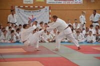 dsc_1444.jpg dsc_1444.jpg