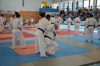 dsc_1528.jpg dsc_1528.jpg