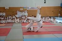 dsc_1577.jpg dsc_1577.jpg