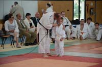 dsc_1631.jpg dsc_1631.jpg