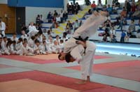 dsc_1660.jpg dsc_1660.jpg
