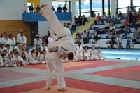 dsc_1664.jpg dsc_1664.jpg