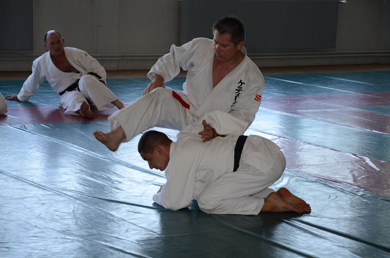 dsc_1986.jpg
