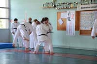 dsc_1906.jpg