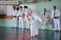 dsc_1909.jpg