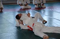 dsc_1992.jpg
