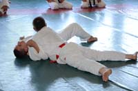 dsc_1993.jpg