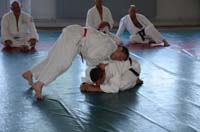 dsc_1994.jpg