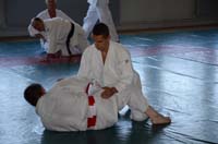 dsc_2013.jpg